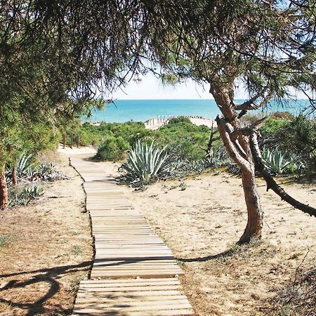 2 Bedroom Nice Apartment In Guardamar Del Segura Exterior photo